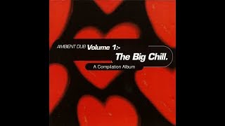 Various – Ambient Dub Volume 1  The Big Chill 1993 (vinyl record)