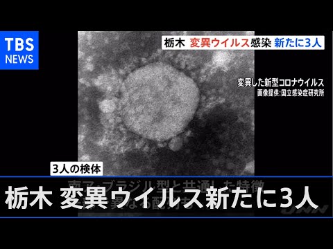 15,000年前のウイルスが氷河で発見 – 彼らは「超現実的な遺伝的特徴」を持っている