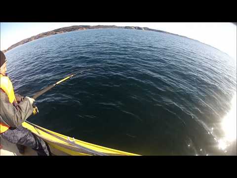 Norwegen 2013  Hotspot-Angeln  1080p