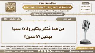 313 - من هما مُنكر ونكير ولماذا سميا بهذين الاسمين؟ - الشيخ صالح الفوزان image
