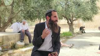 למה יש כל כך הרבה מניעות לעלות להר הבית? | הרב אלישע וולפסון (ישיבת הר הבית) - התמונה מוצגת ישירות מתוך אתר האינטרנט יוטיוב. זכויות היוצרים בתמונה שייכות ליוצרה. קישור קרדיט למקור התוכן נמצא בתוך דף הסרטון למה יש כל כך הרבה מניעות לעלות להר הבית? | הרב אלישע וולפסון (ישיבת הר הבית) - התמונה מוצגת ישירות מתוך אתר האינטרנט יוטיוב. זכויות היוצרים בתמונה שייכות ליוצרה. קישור קרדיט למקור התוכן נמצא בתוך דף הסרטון