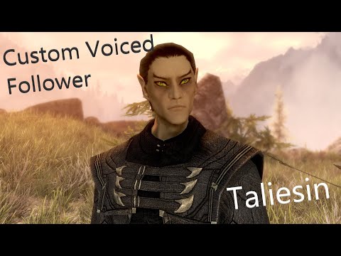 Skyrim - Custom Voice Thalmor Follower Teaser