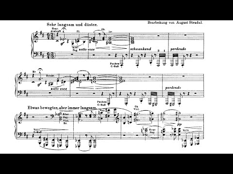 Liszt-Stradal - "Hamlet" Symphonic Poem - Risto-Matti Marin Piano