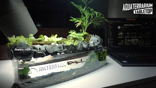 Mini TableTop Waterfall l Plastic ToyBox from DAISO l No Co2,No Filter,No Ferts Aquaterrarium