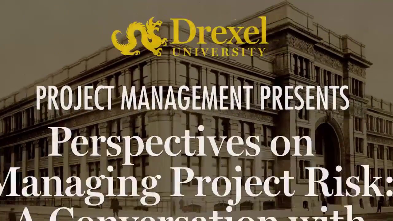 Perspectives on Managing Project Risk