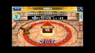【どこパレ！】Lv１７　最強ごうけつぐま育成計画　良特性付いちゃう？の巻
