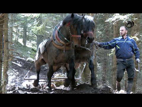 - FURMANSKA MOBA U NAJOPASNIJIM ODJELIMA NA CRNIM STIJENAMA -