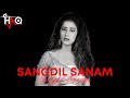 Sangdil Sanam DJ Haq Salman Khan Manisha Koirala Bollywood Remix