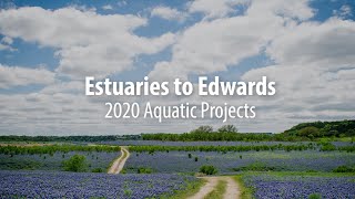 Estuaries to Edwards: Aquatic Species Research Updates