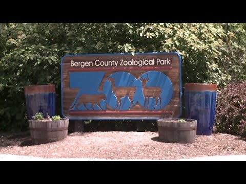 Bergen County Zoo Summer Camp