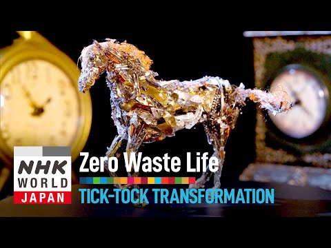 Tick-Tock Transformation - Zero Waste Life