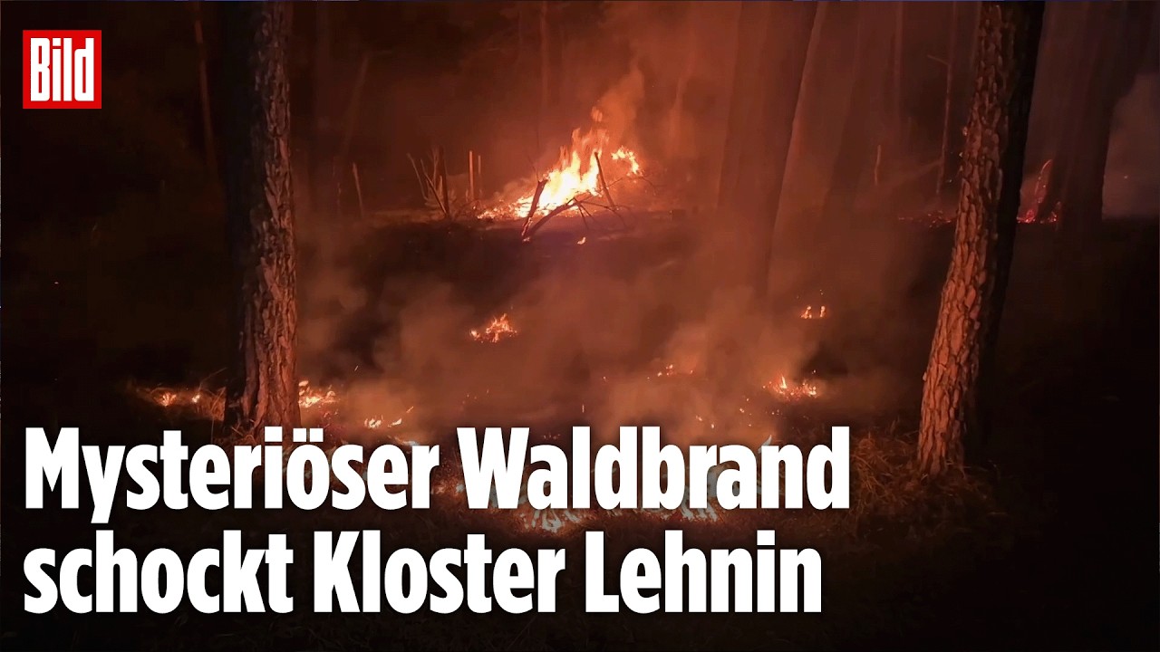 Waldbrand in Kloster Lehnin: Ungewöhnliches Feuer im Frühjahr beschäftigt Polizei