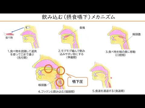 【公開講座】飲込む力でおいしく長生き