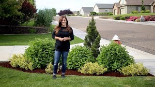 Landscape Makeover–Two Years Later