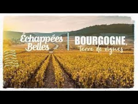 La Bourgogne, terre de vignes - Échappées belles