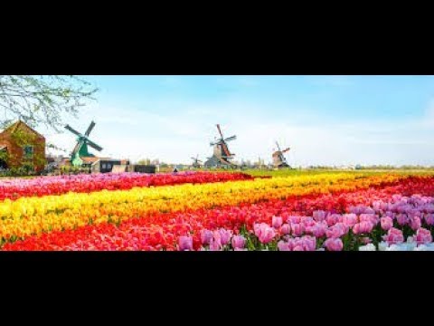 Keukenhof Park Holland - The Netherlands | One of the most beautiful places in the world to visit