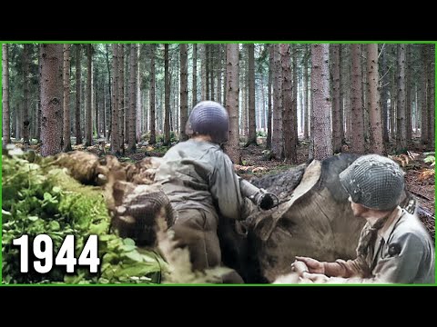 Vor 80 Jahren - Die Schlacht im Hürtgenwald