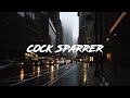 Cock sparrer - we're coming back Lyrics