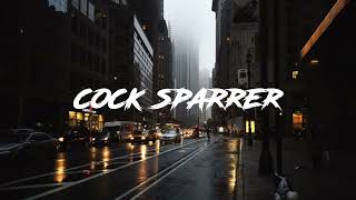 Download lagu Cock sparrer - we're coming back Lyrics mp3