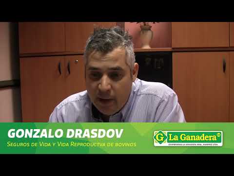Gonzalo Drasdov - Responsable del área de Servicios