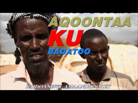 SAMATAR - ALLA COLAADI BA`ANAA