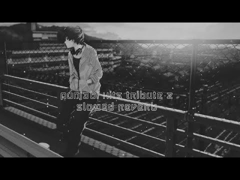 Punjabi Hits Tribute 2 (Slowed Reverb) Kay V Singh
