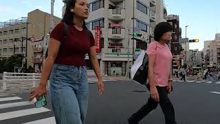 【早稲田大学】2025年8月28日17時