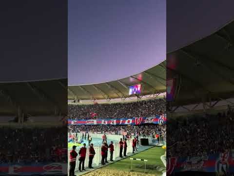 U de Chile vs River Plate | Los de abajo cantando "El Bulla va caminando para Pedrero" #udechile
