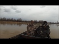 Duck Hunting In Serbia