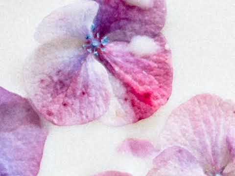 Ho'oponopono meditacija dok spavate - Aleksandra Stakic