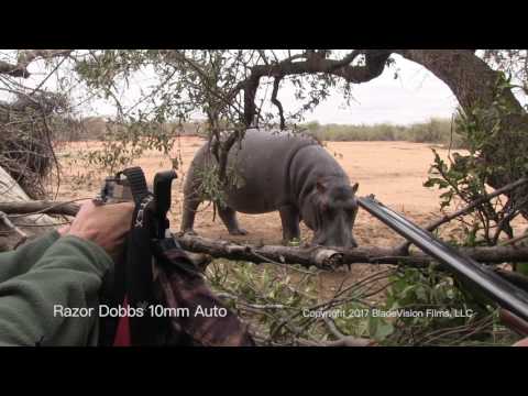 Razor Dobbs HIPPO 10mm auto close encounter stand-off.  Handgun Hunting