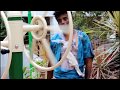 Psycho Prank 2