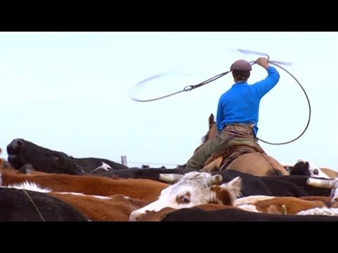 Schulfilm: 360° - die GEO-Reportage - Peones - Verkannte Helden (Schulfilm-Vorschau)