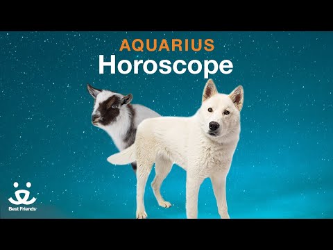 Aquarius Horoscope | Dog with Goat Rising
