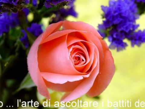 el ciruja - djdom.mp4