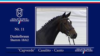 Video koně Capverde