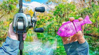Fishing A SECRET Lagoon LOADED With Monster Bass!