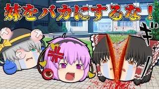 激怒！妹を嫌がらせされ、ブチギレるお姉ちゃん【ゆっくり茶番】