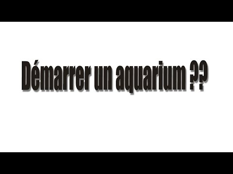 comment remplir aquarium