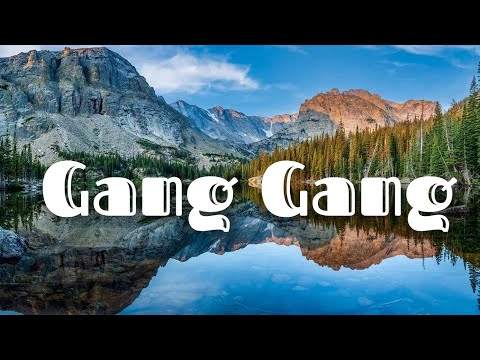 Gang Gang - Jackboys (Lyrics)