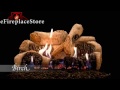 Empire 24" Birch Ceramic Fiber Ventless Natural Gas Log Set and Variable Flame Slope Glaze Burner