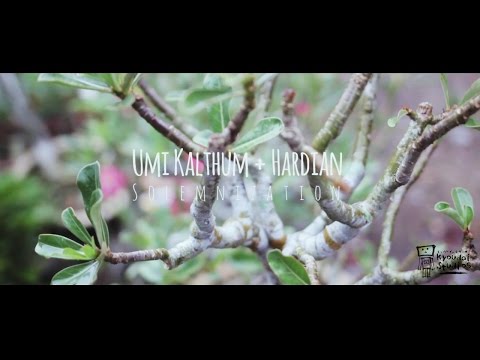 Umi Kalthum & Hardian | Solemnization