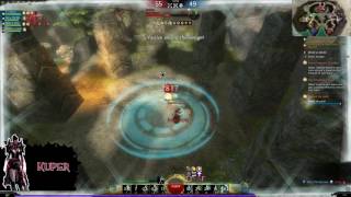 GW2: Season 5. Top 250 Power Reaper 1080p 60fps