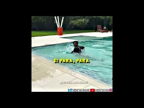 SPEED TENTANDO ADESTRAR UM CÃO ROBÔ  #ishowspeed #speed