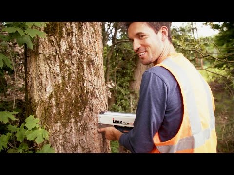 DB-Challenge – Förster