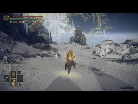 ELDEN RING | Black Knife vs. Death Rite Bird