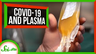 How a Century-Old Procedure Could Help Us Fight COVID-19