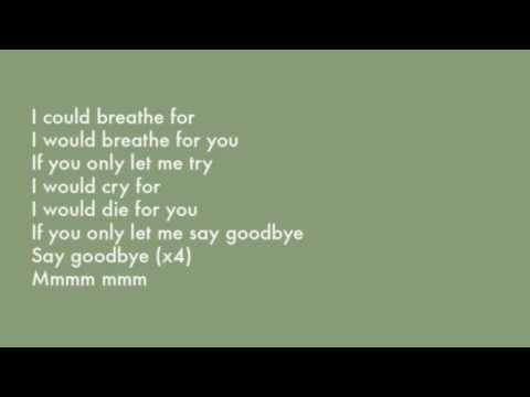 Nicholas David - Say Goodbye (Lyrics)