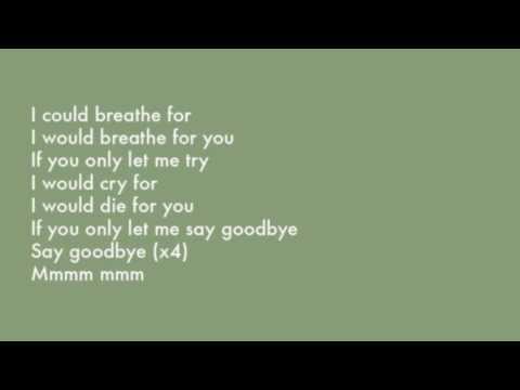 Say Goodbye video