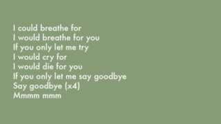 Nicholas David - Say Goodbye (Lyrics on Screen)
